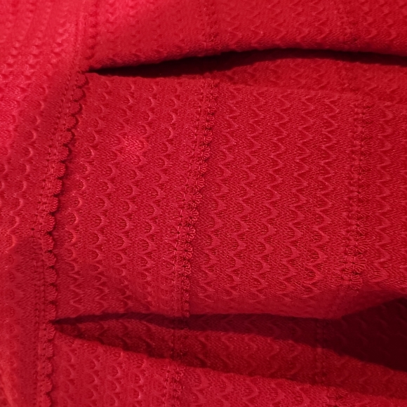 Express sz M red pleated skirt - Picture 7 of 7